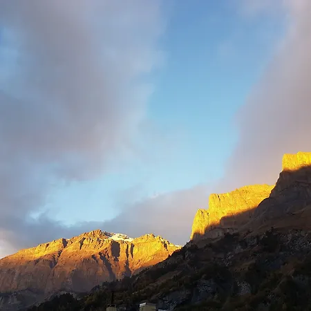 ル ブリストル ロイカーバート 4* ロイカーバード