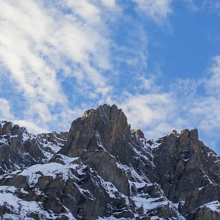 ル ブリストル ロイカーバート