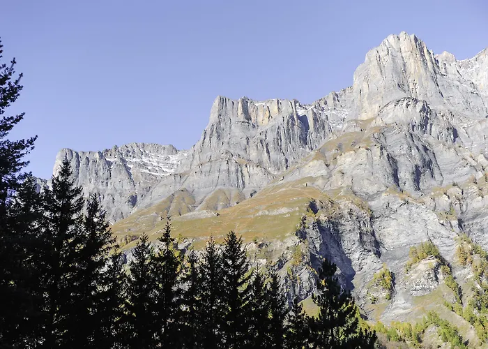 فندق لو بريستول ليوكيرباد